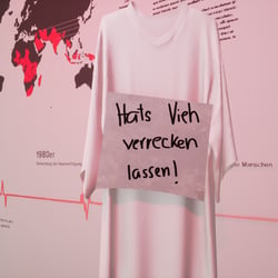 ARN Hexen 06 Schild