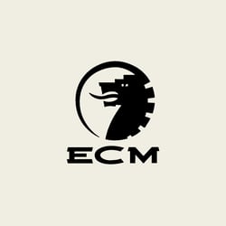 ECM, Finanzdienstleister