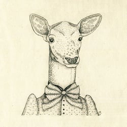 Elegant Animals