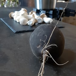 Messedekoration 2019
