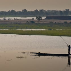 Niger bei Djenne