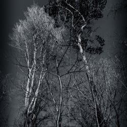 Dark:Sunny:Day