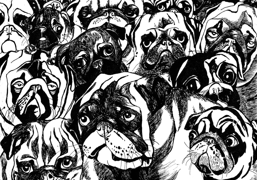 Mops 2008