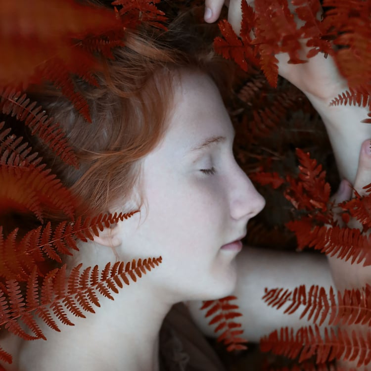 Denise Hermenau-Puhlvers