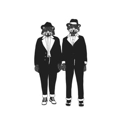 The Racoon Boys