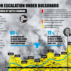 Infografik für ThePlanetVs / COP26