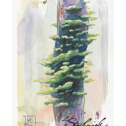 Bemooster Baum 10 × 15 cm