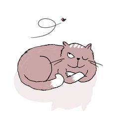 aus CAT SECRETS – besser leben à la Katz