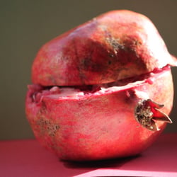 Granatapfel November 2012