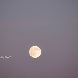Moon – Jun. 2014 © by Dina.T