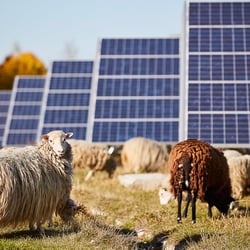 Imagefotos Solarpark