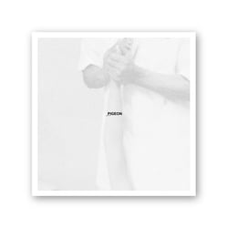 Vinyl-Cover (Vorschlag) für die Band „Pigeon“