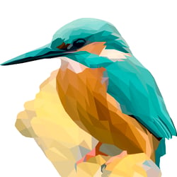 Eisvogel Grafik