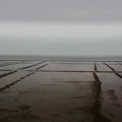 Ebbe und Flut