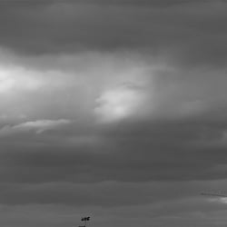 Zweiteiliges Panorama, links (100cm) | Composing, Nachbearbeitung