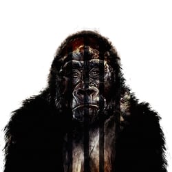 benrennen-com-gorilla-014