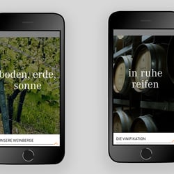 websites-mart-phone-stil