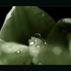 DSC00017