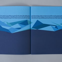 CM 19 020 1200