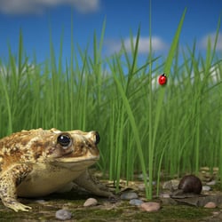Frühling