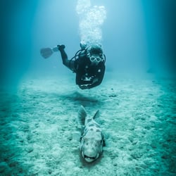 Underwater Wide Angle Portrait Photography