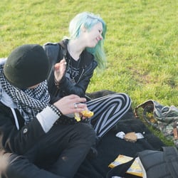 picknickschlacht
