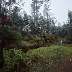 Madeira