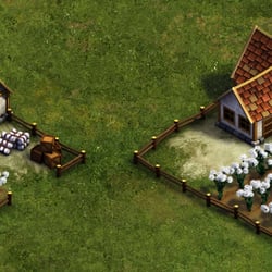 cotton plantation