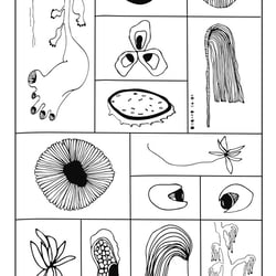 Florale Aliens