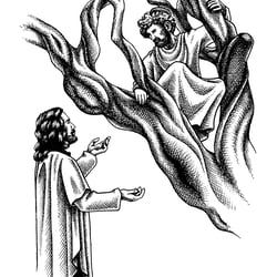 Bistum Aachen – Zachäus