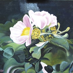 Wildrosenblüten, Öl a. Lw., 50×60 cm, 2005