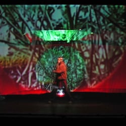 MOVING GALLERY. Performance 2001 – 2003