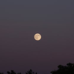 Moon – Jun. 2014 © by Dina.T