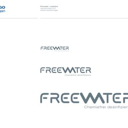 freewater :: CD – Entwicklung