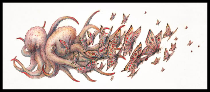 Metamorphosis