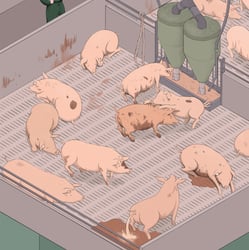 Pig & Click