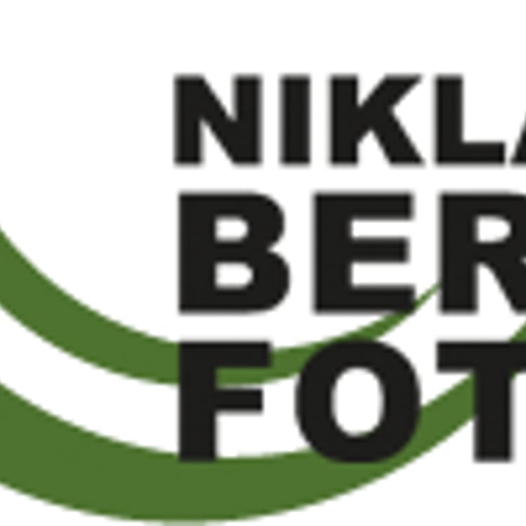 Niklas Berg