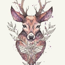 Deer