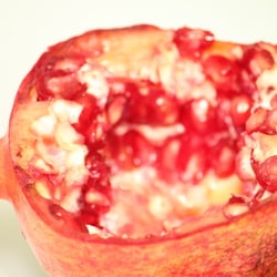 Granatapfel November 2012