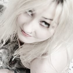 Pussy Cat