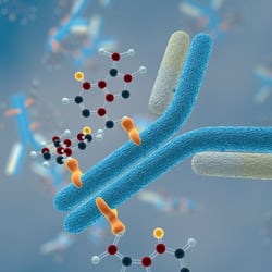 Immunabwehr – Antikörper im Einsatz