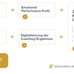 Infografik: Ablauf eines Coachings, hier: Excellence Lab