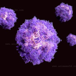 RNA-Virus