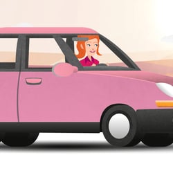 Explainer Driving License