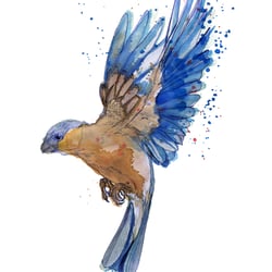 Illustration Julia Bittruf