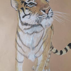 Polychromos