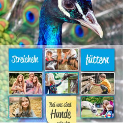 KÜSTENWERBUNG Werbeagentur Nicolai Heise Werbeerfolg Grafikdesign Flyer Werbung (2)