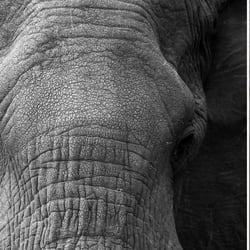 EMOTIONALE MOMENTE by INGO GERLACH