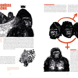Gorilla (Sachbuch)