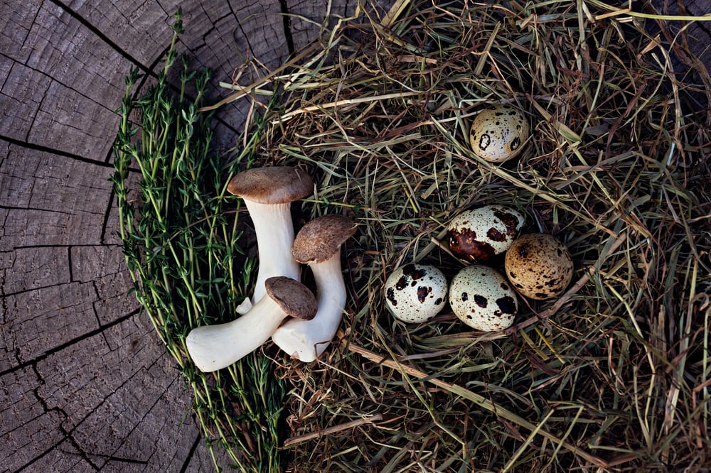 Mushroom and eggs